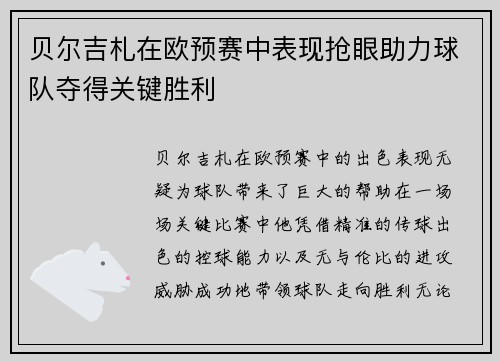 贝尔吉札在欧预赛中表现抢眼助力球队夺得关键胜利